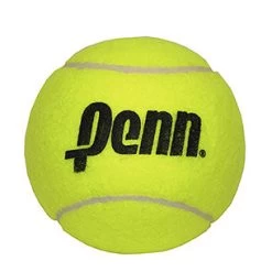 Penn 4 Inch Mini Jumbo Tennis Ball